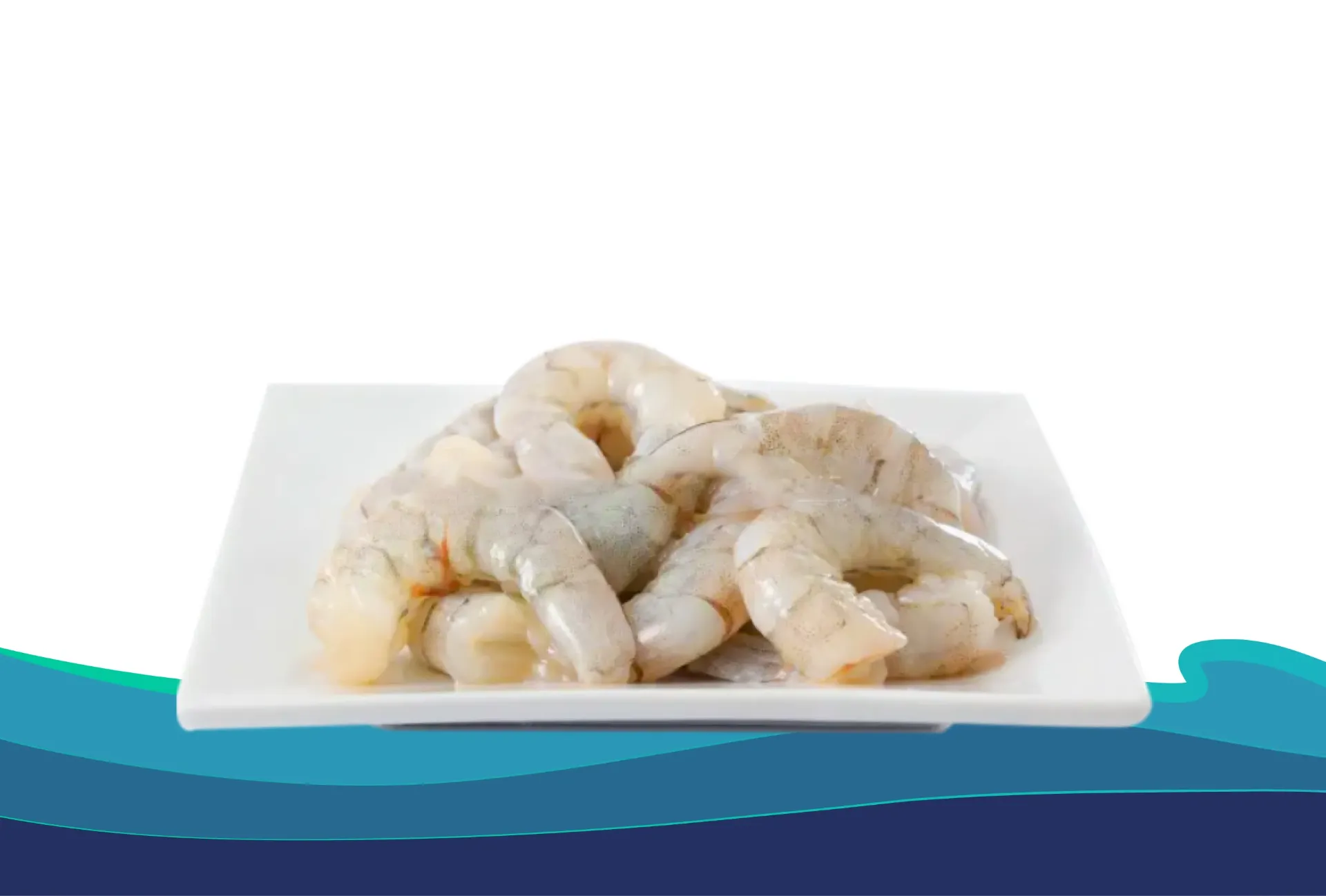 CAMARÒN DE CULTIVO 20-30