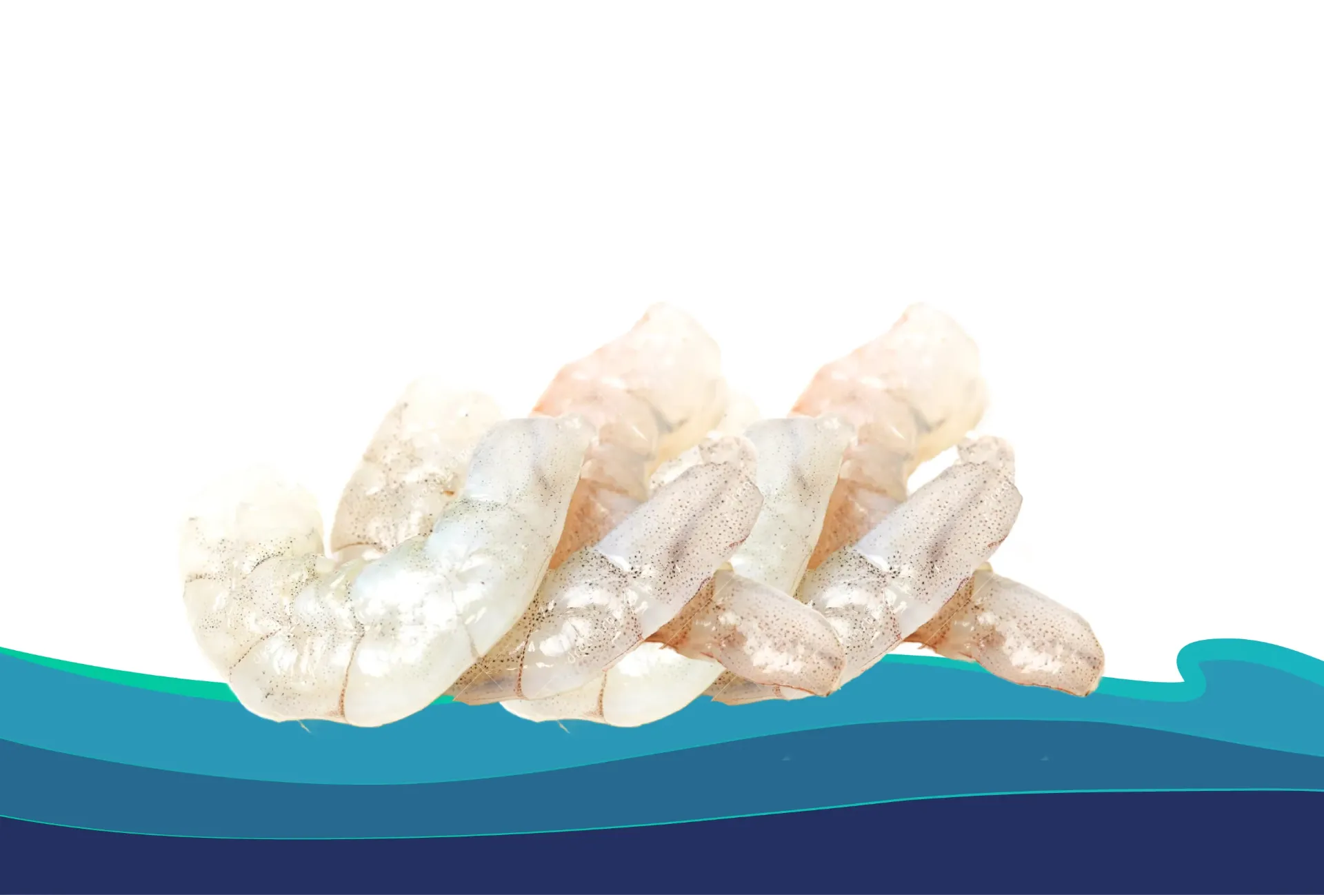 CAMARÒN DE CULTIVO 30-40