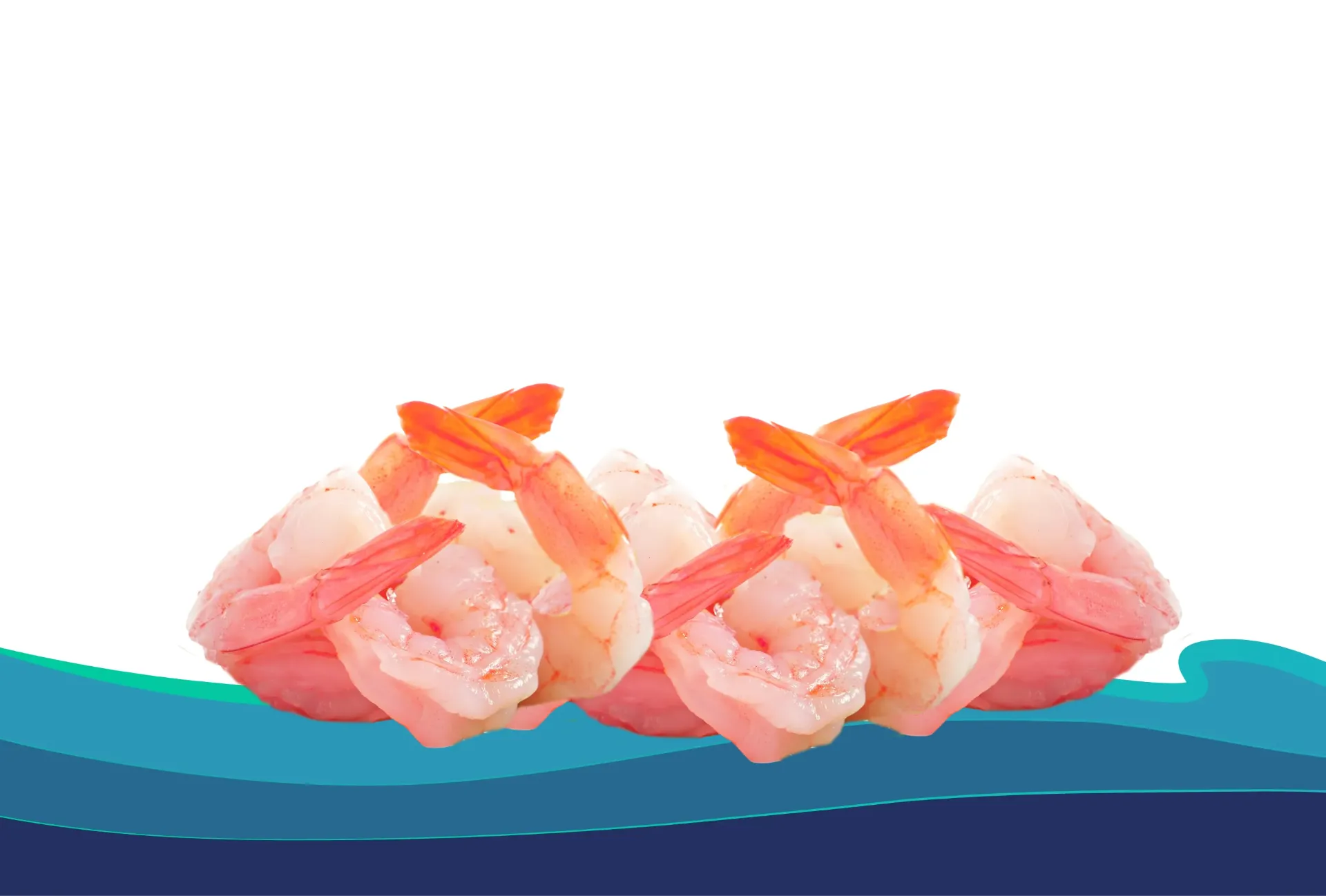 CAMARÓN C. 21-25 BTR